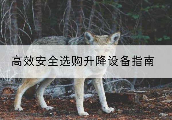 炎陵升降货梯厂家推荐-*安全选购升降设备指南