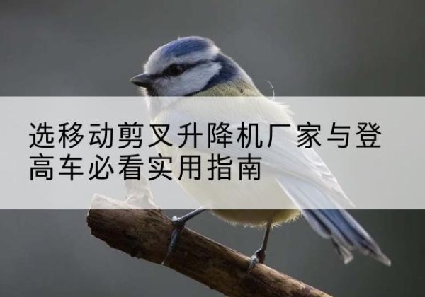 炎陵电动升降机厂家-选移动剪叉升降机厂家与登高车必看实用指南
