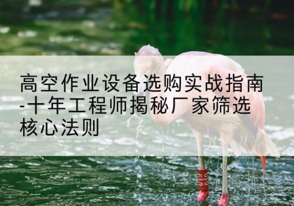 炎陵剪叉式升降机厂家-高空作业设备选购实战指南-十年工程师揭秘厂家筛选核心法则