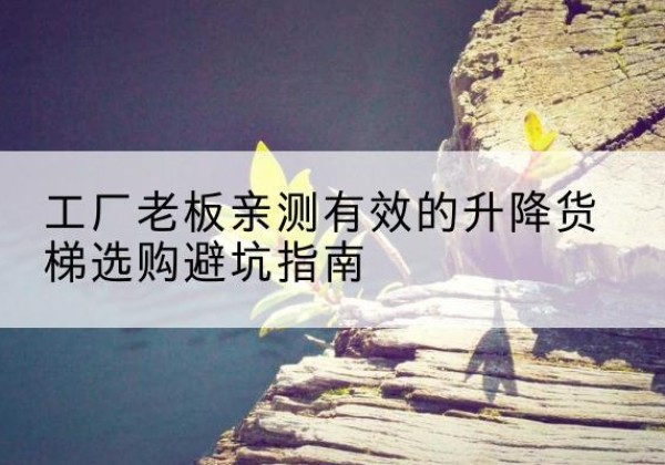 炎陵升降货梯怎么选-工厂老板亲测有效的升降货梯选购避坑指南